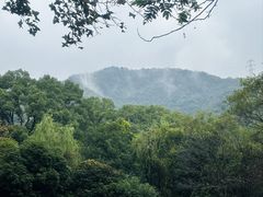 -杭州林泉山庄