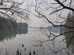 -东湖落雁景区