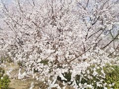 -太阳宫公园
