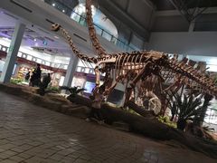 -自贡恐龙博物馆