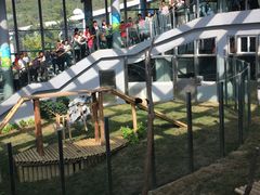 -大连森林动物园