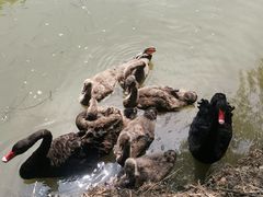 -长兴太湖图影湿地文化园