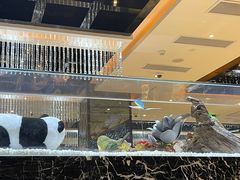 -红辣椒·川菜·火锅(大洋中心店)