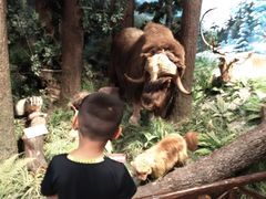 -陕西自然博物馆