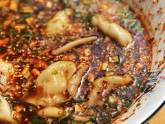 杂拌饺子-尤素福东举院饺子馆