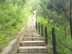 -北京十三陵国家森林公园蟒山景区