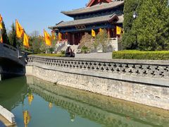 -大槐树寻根祭祖园