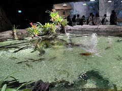 -河川生态园