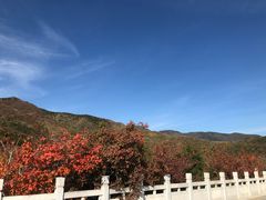 -北京西山国家森林公园