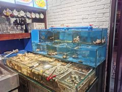-潮庭·大连海鲜·炭火烧烤·扇贝王(大连店)