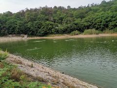 -紫金山天文台