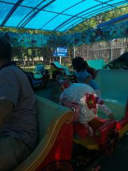 -大望京儿童游乐场