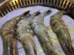 -熊出没日本烧肉放题