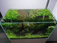 -ADA自然水景世界