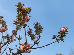 -洋湖国家湿地公园