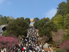 -庐山风景名胜区-东林大佛