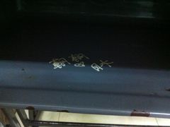 IMG_6447-做了不起的80后