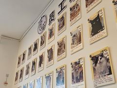 -有喵·猫咖·狗咖·30几只猫10只小狗(岗厦店)