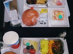 -谢列梅捷沃国际机场