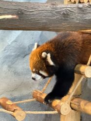 -Zoolung Zoolung动物主题公园(海信广场店)