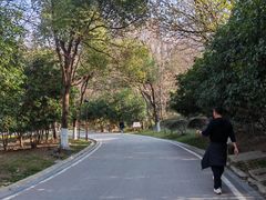 -南京市江宁方山