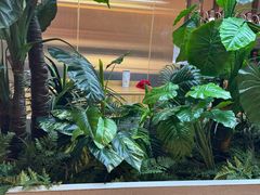 -悦海·家宴·冰花皮皮虾大锅贴(宝龙店)