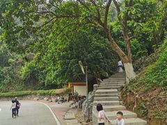 -火炉山森林公园