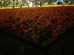 -大连人民广场