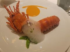 -西郊5号·Maggie 5