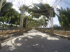 -龙谕酒庄