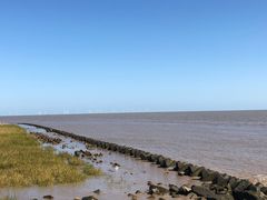 -南汇嘴观海公园