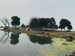 -滆湖低碳生态公园