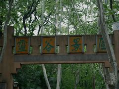 -灵谷景区