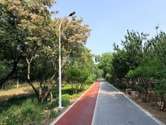 -绿堤公园