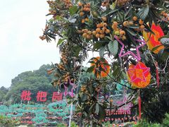 -枇杷园食为鲜火锅(南山店)