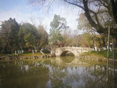 -瀛洲公园