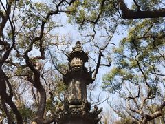 -普陀山风景名胜区-法雨禅寺