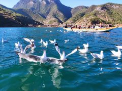 -丽江泸沽湖景区