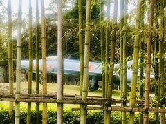 -成飞公园