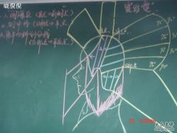 发型分解图-予約时尚造型