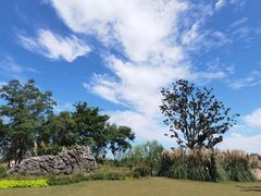 -上海长兴岛郊野公园