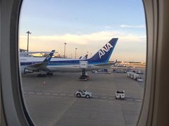 -全日本空输株式会社(上海办事处)