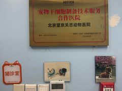 -瑞派·关忠动物医院·异宠专科·犬猫肿瘤·皮肤专科(望京店)