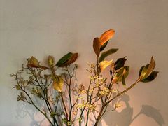 -BOCATA 西班牙餐厅(三里屯店)