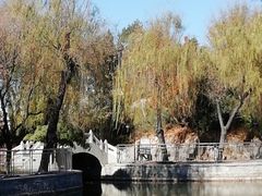 -黄村公园