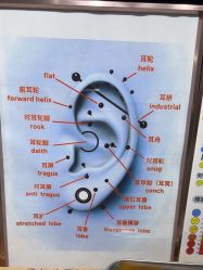 -AI艾耳·专业手工耳洞·穿孔美学馆