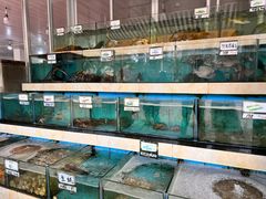-秋姐美食店(旅游大道店)