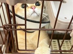 -爱侣宠医·鹦鹉专科·小型哺乳类·异宠专科(灵石路店)