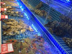 -必点海鲜·鲅鱼水饺(鞍山西道店)