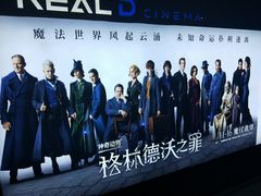 -奥斯卡升龙国际影城(RealD Cinema)